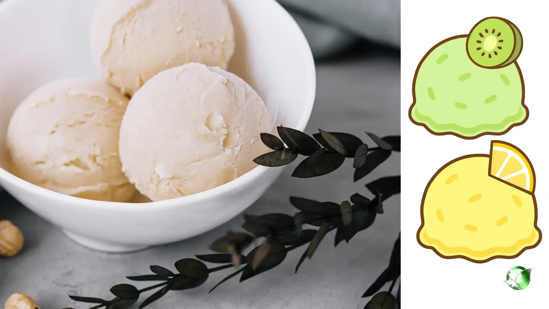 Freeze-Dried Ice Cream quality, format, and packaging should be matched to the buyer’s target application.